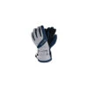 Gants De Ski Adulte Femme Dare 2B Merit Glove Blue