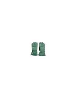 Gants De Ski Dare 2B Worthy Green