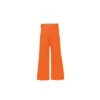 Pantalon De Ski Neuf Dare 2B Whirlwind II Shockorange Junior